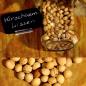 Preview: Kirschkernkissen gross Preview: Kirschkernkissen gross
