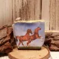 Preview: Geöffnete Pferde-Geldbörse mit Blick in das geräumige Hauptfach für Münzen und Scheine.
