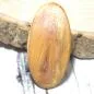 Preview: Holz Haarspange klein aus Pflaumenholz - haarspange holz haarklammer klein Pflaume oval