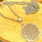 Preview: Metallkette mit Anhänger