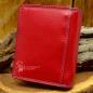 Preview: kleiner Geldbeutel in rot Preview: kleiner Geldbeutel in rot