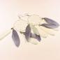 Preview: Lange handgefertigte Traumfänger Ohrringe in Weiß und Grau mit versilberter Klappbrisur und echten Federn.