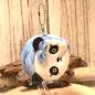 Preview: Geöffnete Münztasche Panda (8 x 8 x 5 cm) mit Geldfach aus Nicki und Plüsch.