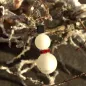 Preview: Kettenanhänger Schneemann