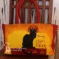 Preview: Stoff-Shoppertasche Chat Noir in Gelb und Rot mit Motiv einer schwarzen Katze, Reißverschluss und roten Tragegriffen.