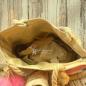 Preview: große Shoppertasche rosa gestreift Preview: große Shoppertasche rosa gestreift