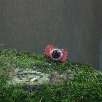 Damenring mit Stoff-Band rot und Swarovski-Stein breit