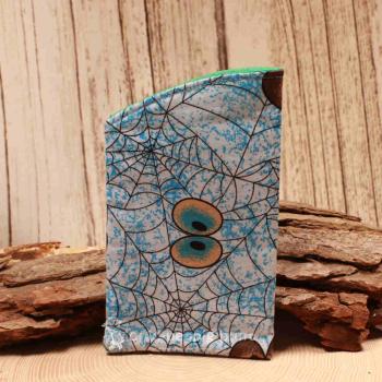 Handgenähtes blaues Brillenetui von chic-peppig-bunt mit Spinnennetz-Augen-Motiv und türkisem geometrischem Innenstoff auf hellem Hintergrund.