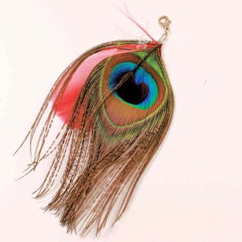 Charms Anhänger Pfauenfeder Karabiner rot