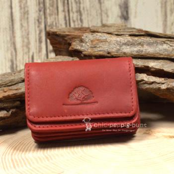 Mini Geldbeutel Geldbörse Portemonnais Leder Rot 4 Fächer Knopfverschluss 8cm