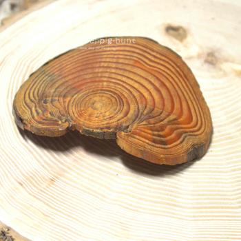 Haarspange aus echter Kirsche