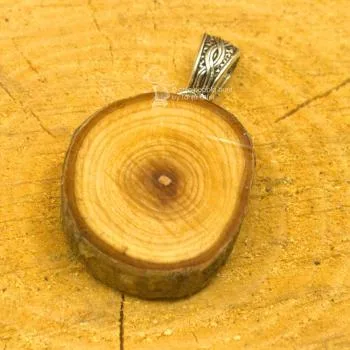 Kettenahänger Baumschiebe
