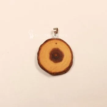 Kettenanhänger Holzscheibe Vogelbeere versilbert Schmuckanhänger Unikat handmade chic-peppig-bunt