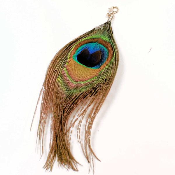 Charms Anhänger Pfauenfeder schwarz Karabiner