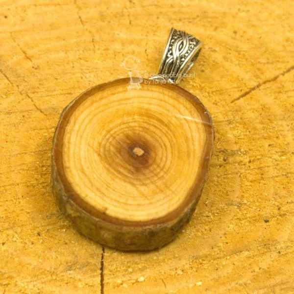 Kettenahänger Baumschiebe