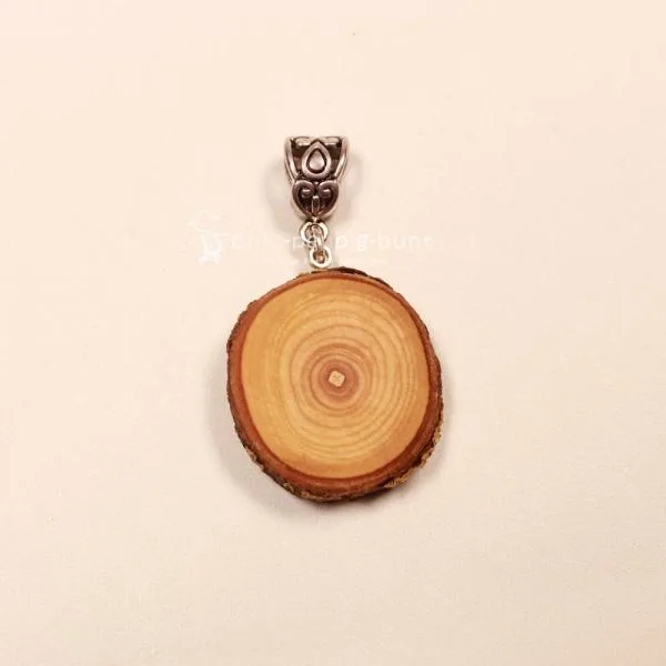 Kettenanhänger Holzscheibe Vogelbeere versilbert Schmuckanhänger Unikat handmade chic-peppig-bunt