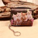 Kleiner bunter Kindergeldbeutel mit Fotodruck von zwei spielenden Katzenbabys, inklusive Gliederkette und Schlüsselring.