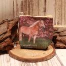 Kleiner brauner Geldbeutel aus Kunstleder mit fotorealistischem Pferde-Motiv und Reißverschluss.